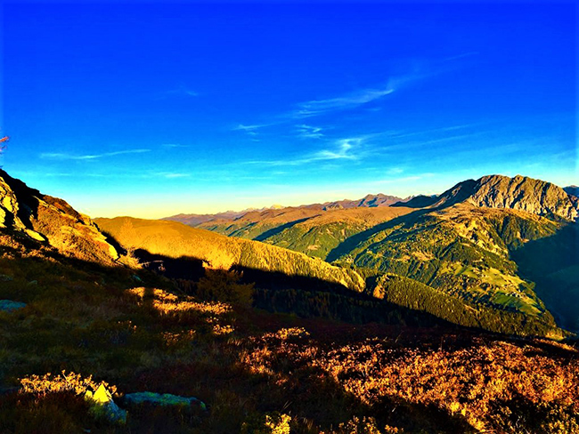 Genussvoll Wandern im Urlaub am Bauernhof 